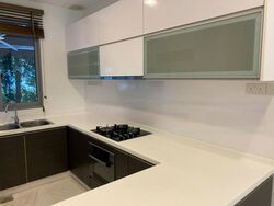 Radiance @ Bukit Timah (D21), Terrace #485923331